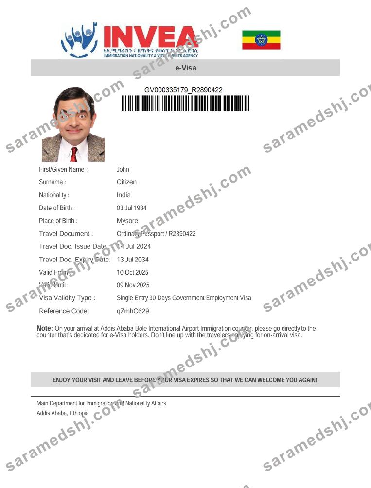 Ethiopia e-visa template in Word and PDF formats